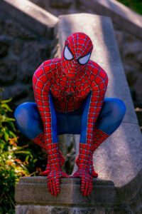 Spider Hero