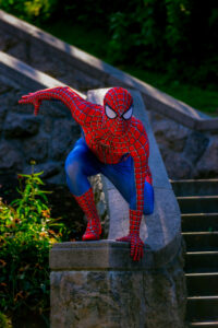 Spider Hero