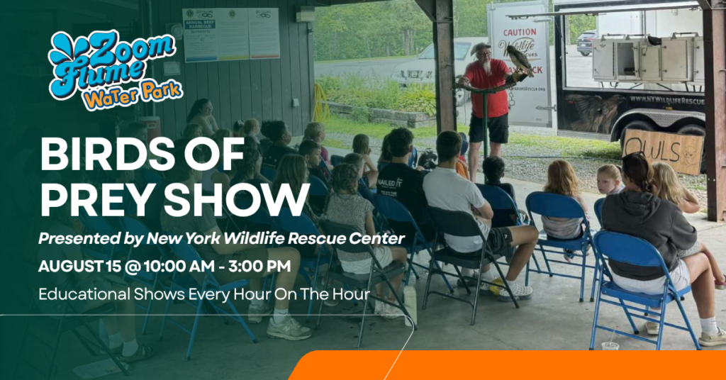 Birds of Prey Show